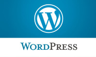 Curso complementario de WordPress I